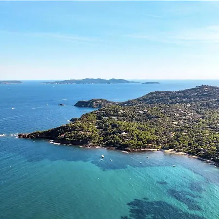 Kalliope - Vue - New Villa Hyères