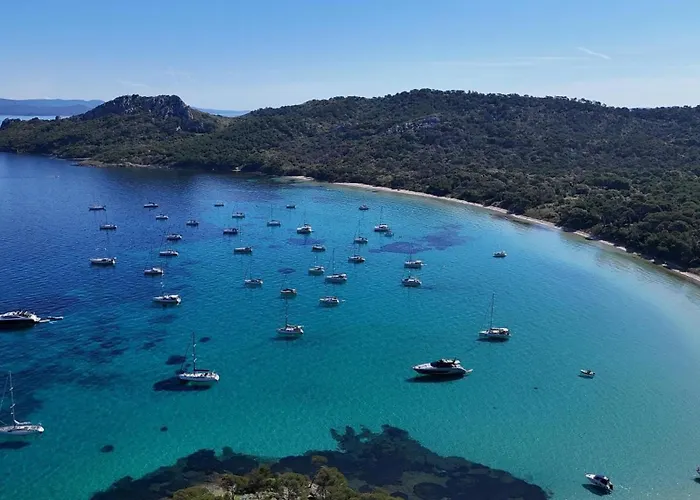 Kalliope - Vue - Piscine - New * Hyères