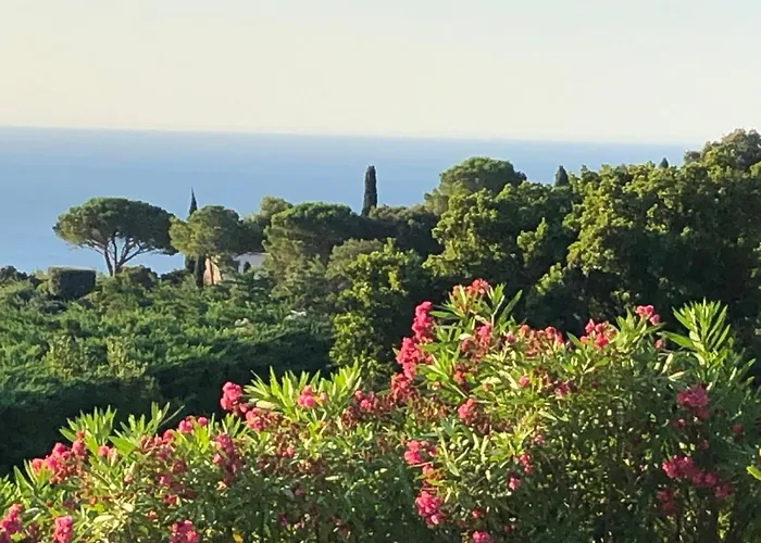 Vila Kalliope - Vue - Piscine - New *