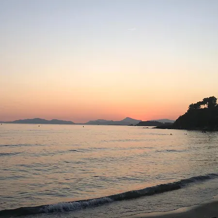 Kalliope - Vue - New