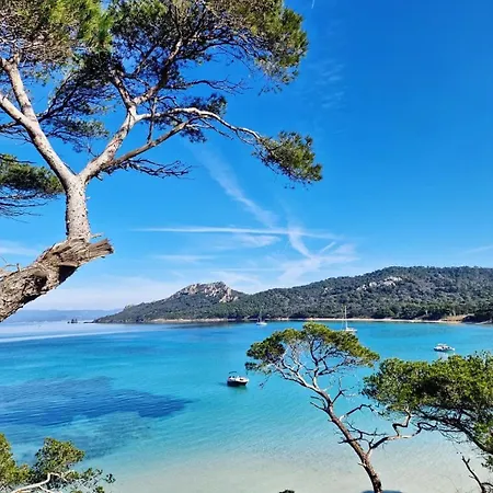 Kalliope - Vue - New 빌라