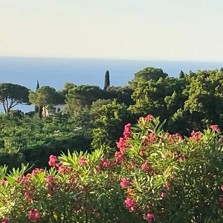 Villa Kalliope - Vue - Piscine - New *